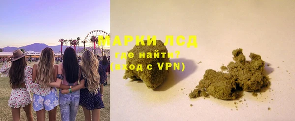 прущие грибы Балахна