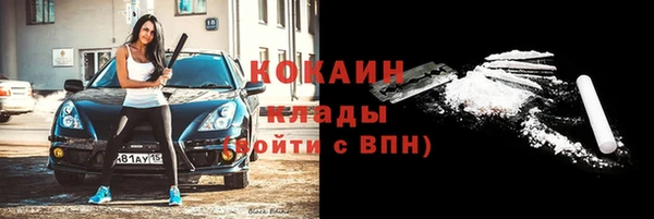 крисы Баксан