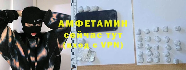 прущие грибы Балахна