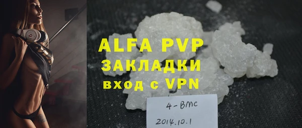 крисы Баксан
