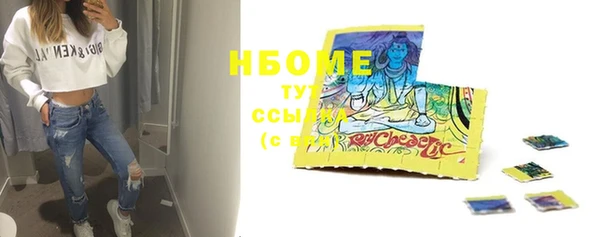 прущие грибы Балахна