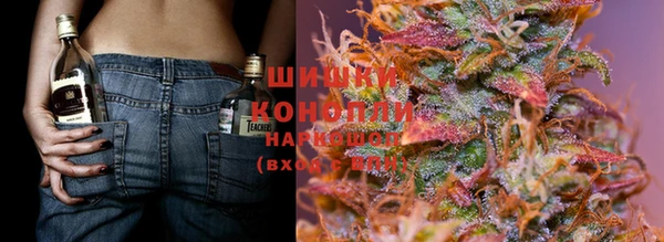 крисы Баксан