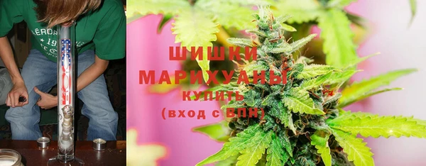 прущие грибы Балахна