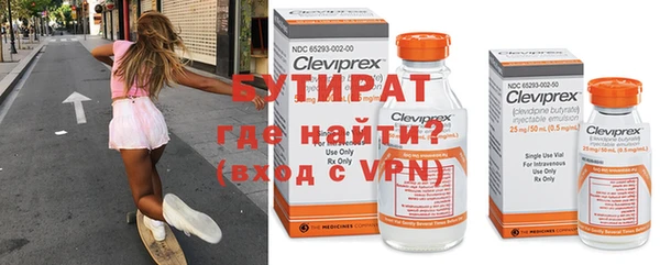 прущие грибы Балахна