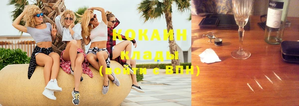 прущие грибы Балахна