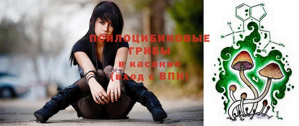 крисы Баксан