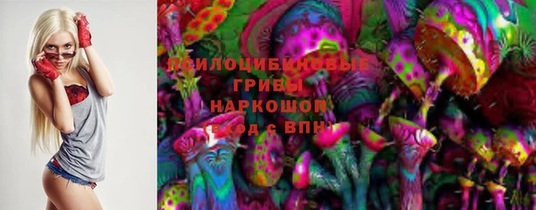 крисы Баксан