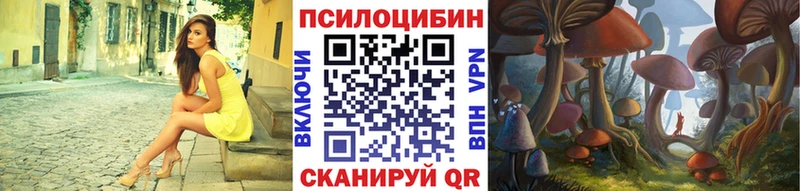 дарнет шоп  Ясногорск  Псилоцибиновые грибы MAGIC MUSHROOMS 